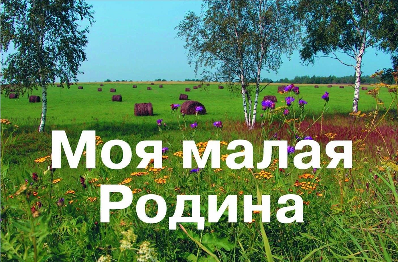 В рамках календаря первых ребята создали видеоролики «Расскажи о главном! Моя малая Родина»..