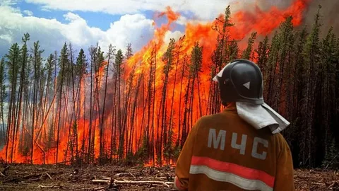 Лесные пожары чаще всего они возникают по вине человека..